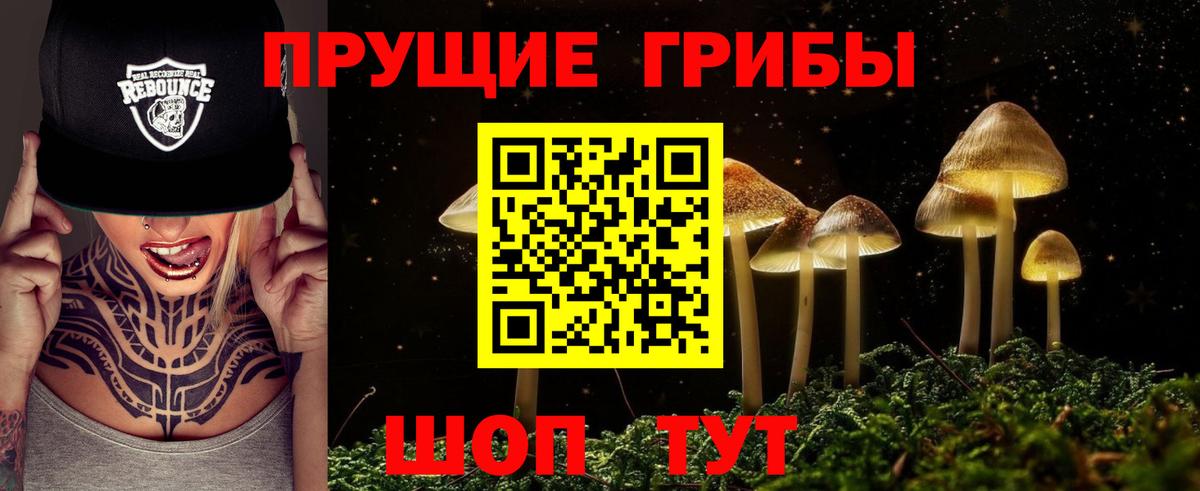 Лыткарино  Галлюциногенные грибы Psilocybe  Галлюциногенные грибы прущие грибы  Вход с VPN 