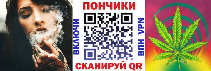 маркетплейс наркотические препараты  Лыткарино  Бошки Шишки ГИДРОПОН 